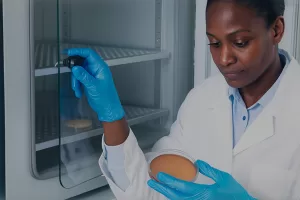 estufa de esterilização versus secagem